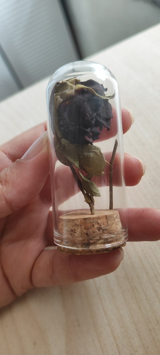 halfetiden orjinal karagül - Görsel 4