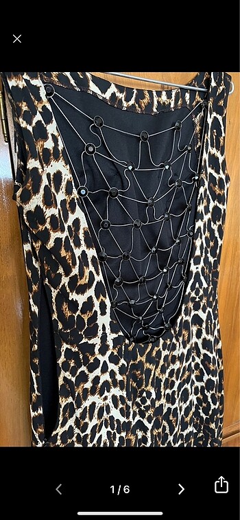 Leopar desende