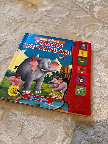 Sesli kitap