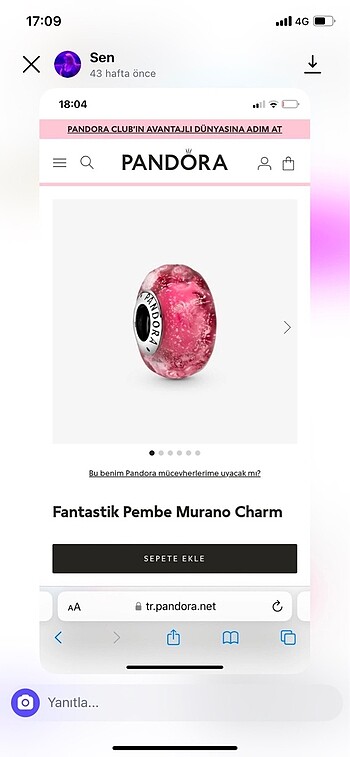 Pandora Pandora charm