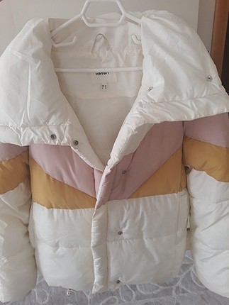 Koton mont