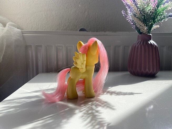  Nadir gözlü fluttershy