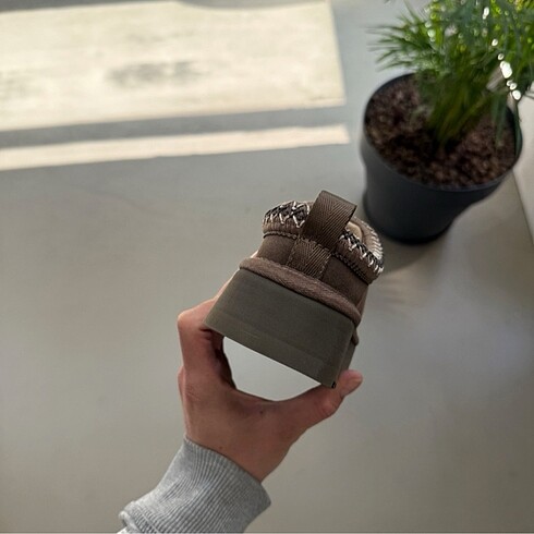 Ugg U.G.G Tazz Slipper Cheddar