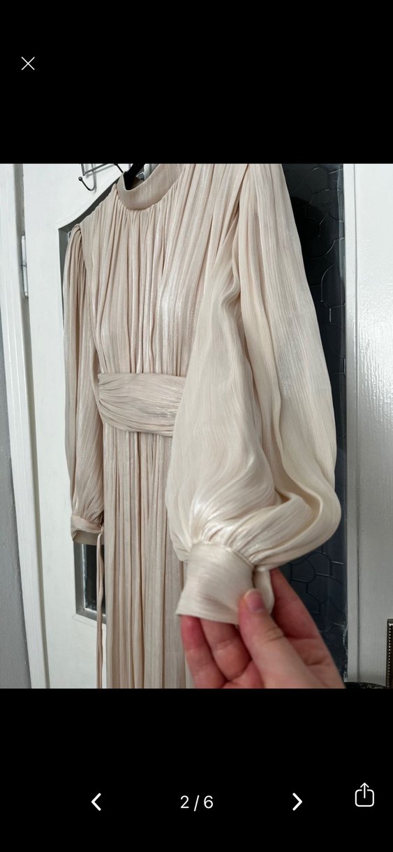 Bej Pilili Uzun Kadın Abiye Elbise - Görsel 2