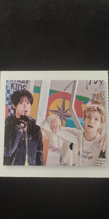 Diğer Straykids