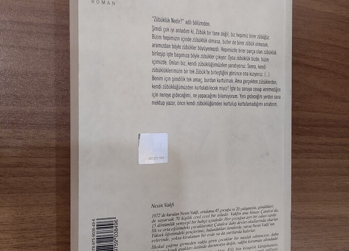 Beden Zübük