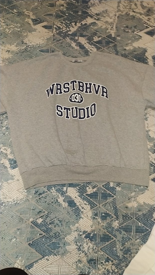 Gri Baskı erkek Sweatshirt - Görsel 2