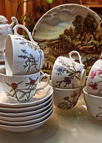 Bavariya  ,,Botanika,,Cicek Desenli Porselen Fincan Takımı 6 adt - Görsel 3