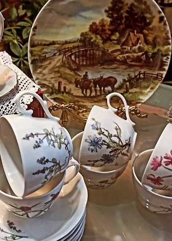 Bavariya  ,,Botanika,,Cicek Desenli Porselen Fincan Takımı 6 adt - Görsel 4