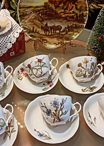 Bavariya  ,,Botanika,,Cicek Desenli Porselen Fincan Takımı 6 adt - Görsel 2