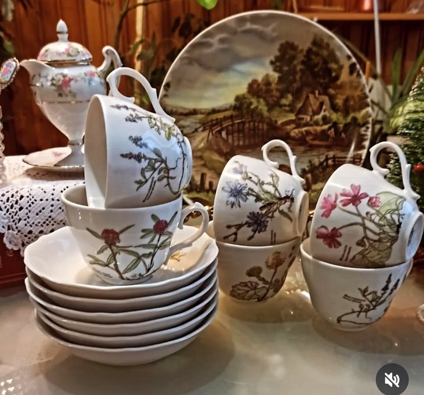 Bavariya  ,,Botanika,,Cicek Desenli Porselen Fincan Takımı 6 adt - Görsel 3