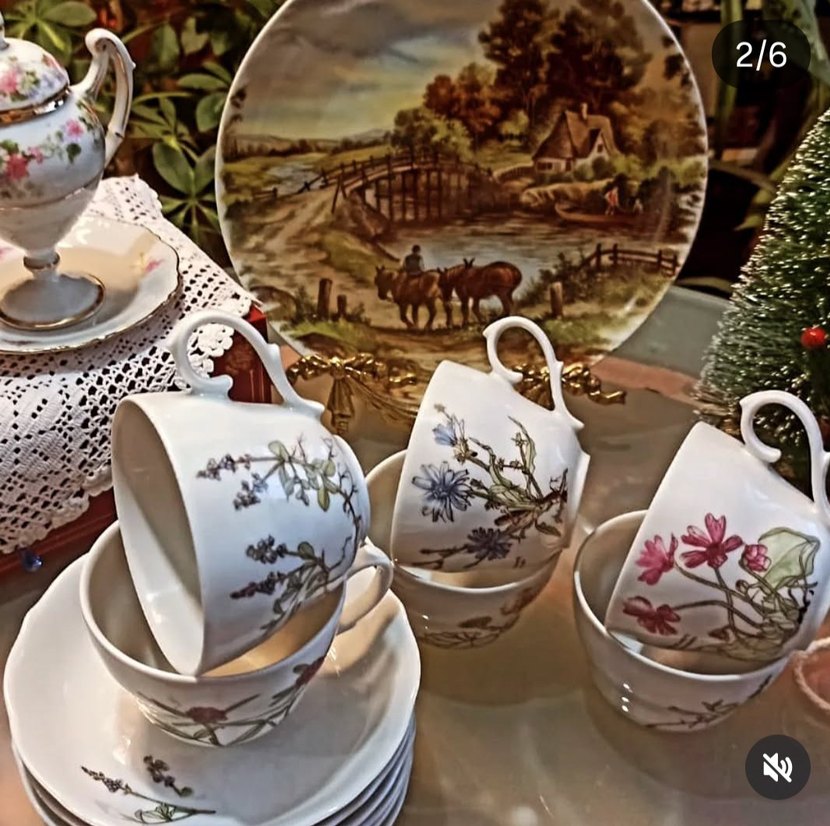 Bavariya  ,,Botanika,,Cicek Desenli Porselen Fincan Takımı 6 adt - Görsel 4