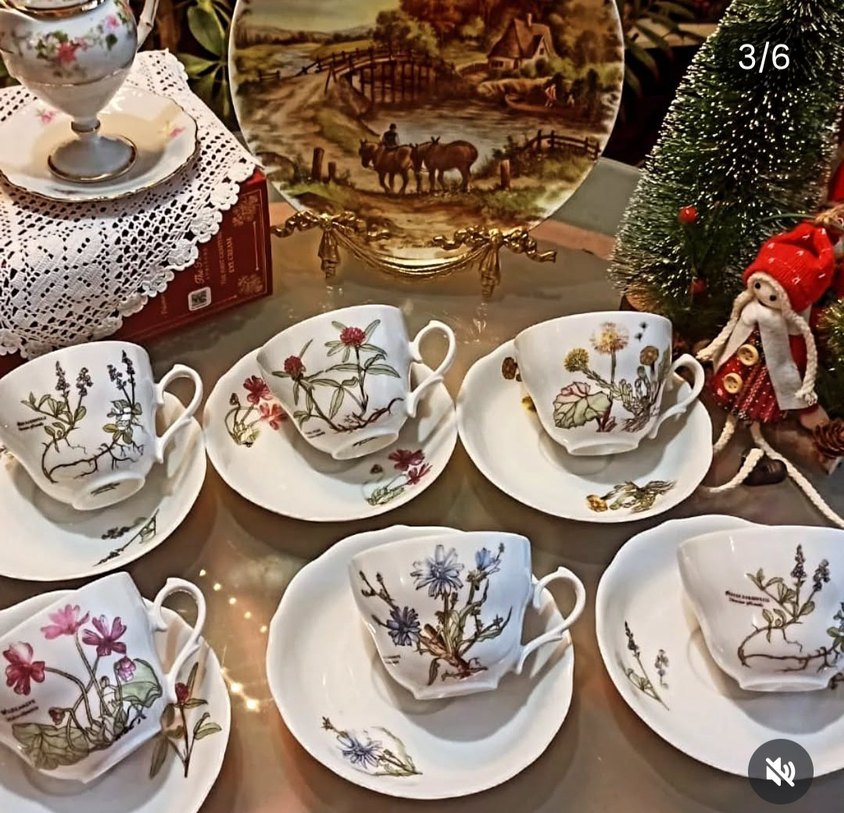 Bavariya  ,,Botanika,,Cicek Desenli Porselen Fincan Takımı 6 adt - Görsel 2