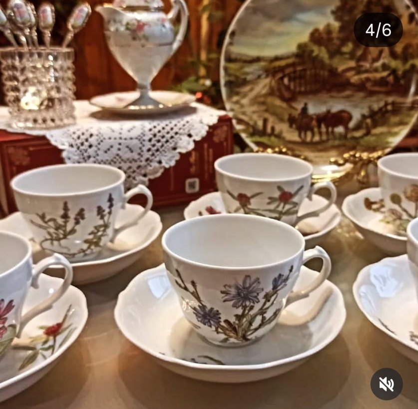 Bavariya  ,,Botanika,,Cicek Desenli Porselen Fincan Takımı 6 adt - Görsel 5