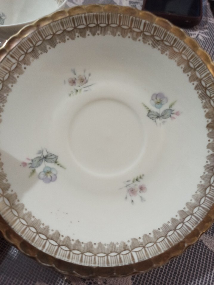 Apman ,Çiçek Desenli İnce Porselen Cay Fincani  ve Tabak - Görsel 4