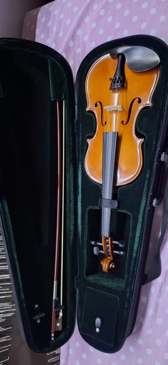 Kahverengi Keman ve Taşıma Kutusu - Görsel 2