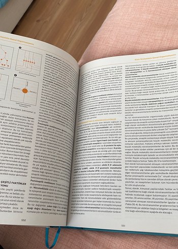 Beden Renk İnsan Fizyolojisi Kitabı Prof. Dr. Erdal Ağar