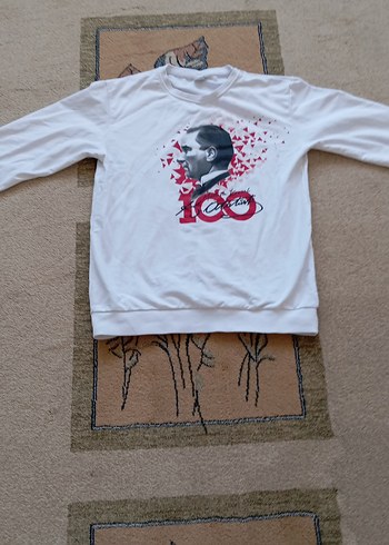 Beyaz  Swift - Görsel 2