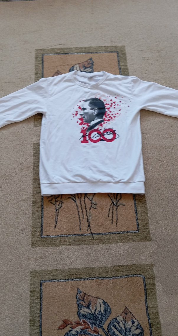 Beyaz  Swift - Görsel 4