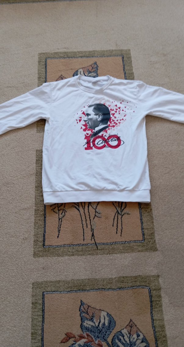 Beyaz  Swift - Görsel 2