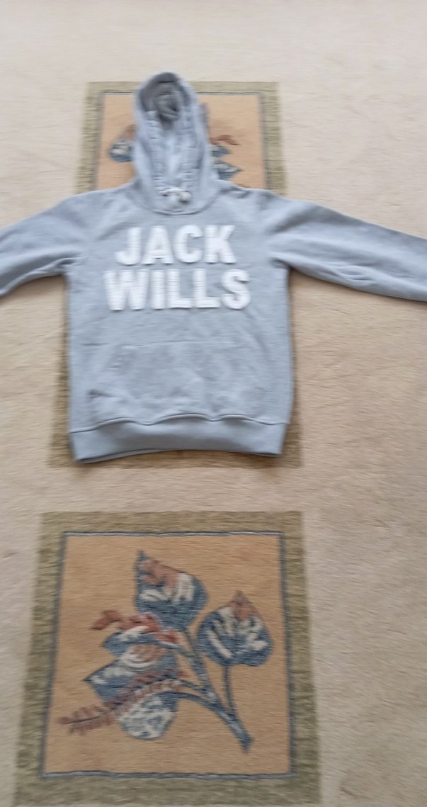 Gri Erkek Çocuk Kapüşonlu Sweatshirt - Görsel 4