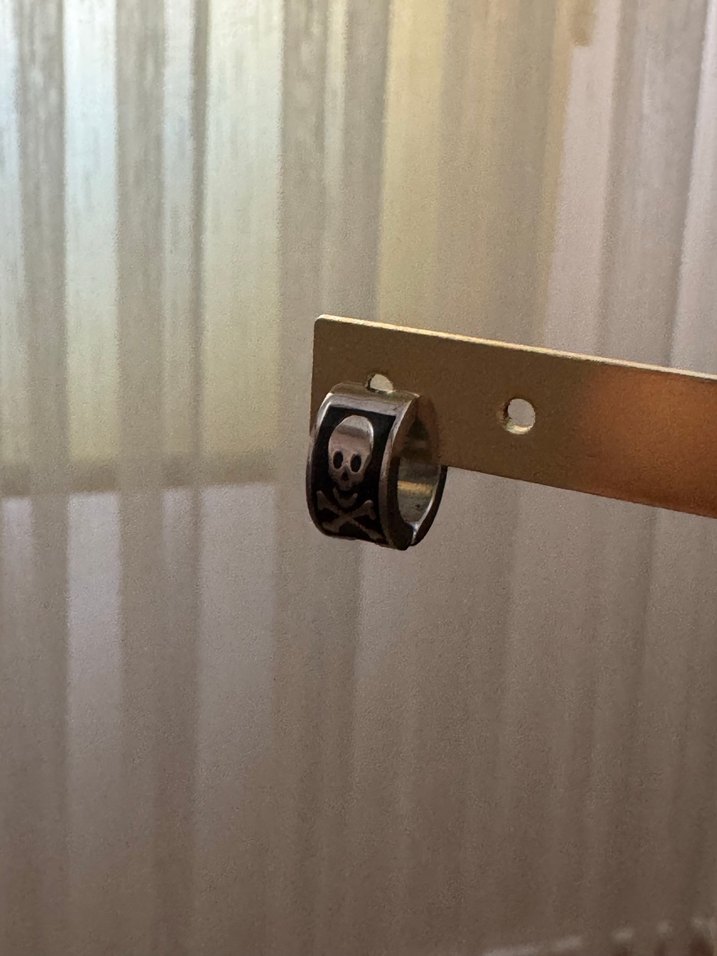 Paslanmaz Çelik Kafatası Desenli Küpe - Görsel 2