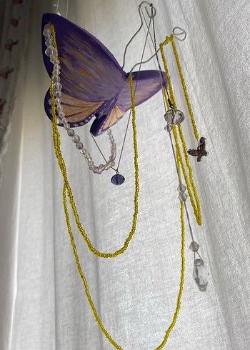 Cam güzeli kelebek - Görsel 7