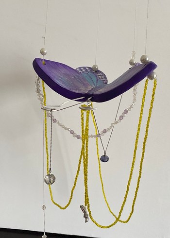 Cam güzeli kelebek - Görsel 8