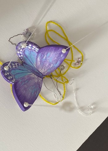 Cam güzeli kelebek - Görsel 5