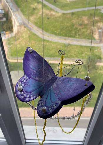 Cam güzeli kelebek - Görsel 2