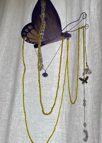 Cam güzeli kelebek - Görsel 6