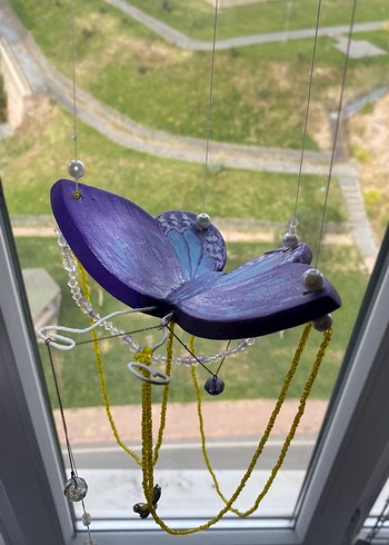 Cam güzeli kelebek - Görsel 4