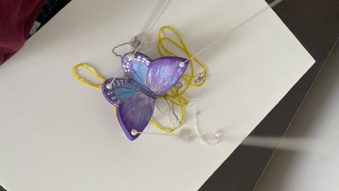 Cam güzeli kelebek - Görsel 5