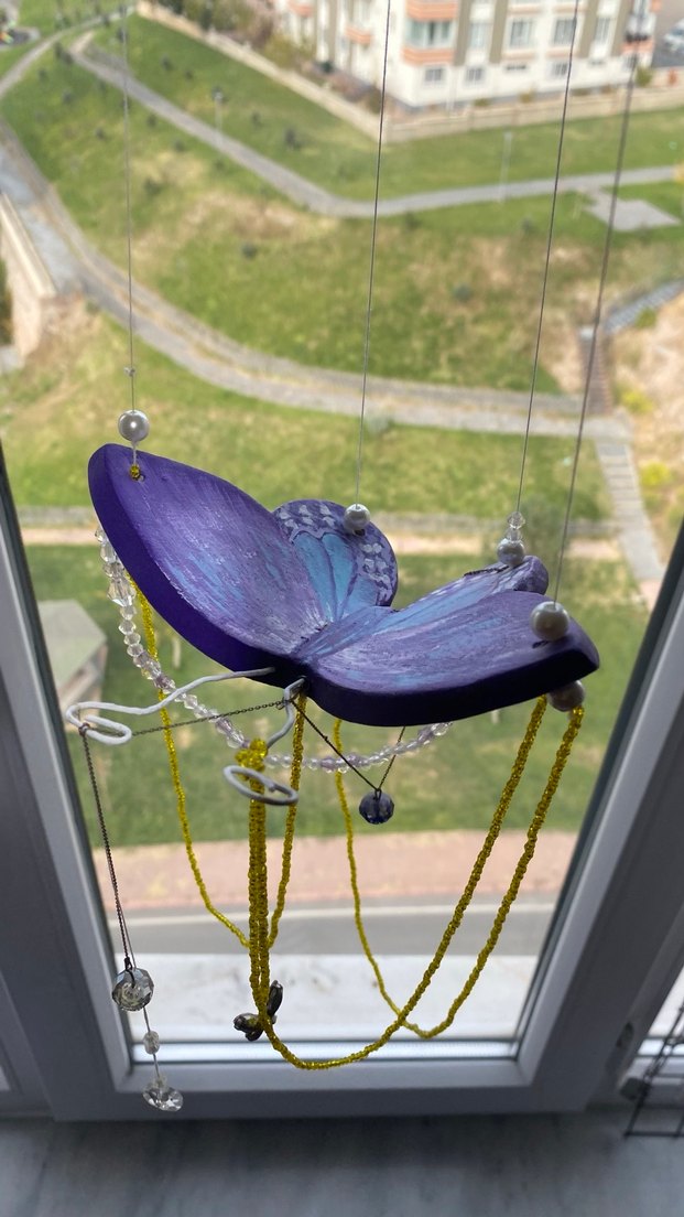 Cam güzeli kelebek - Görsel 4