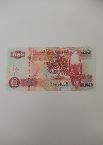  Altın Renkli 50 Kwacha Banknot 480