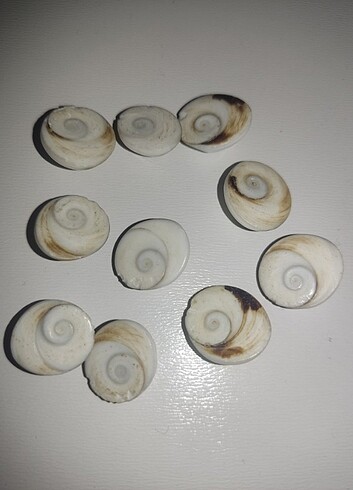 10 Adet Yılancık Taşı. - Görsel 2