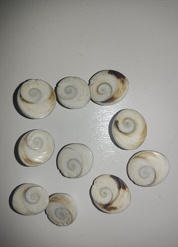 10 Adet Yılancık Taşı. - Görsel 4