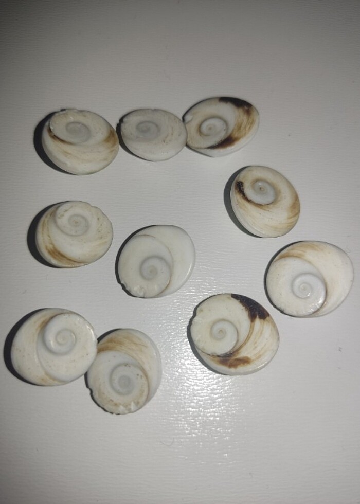 10 Adet Yılancık Taşı. - Görsel 2