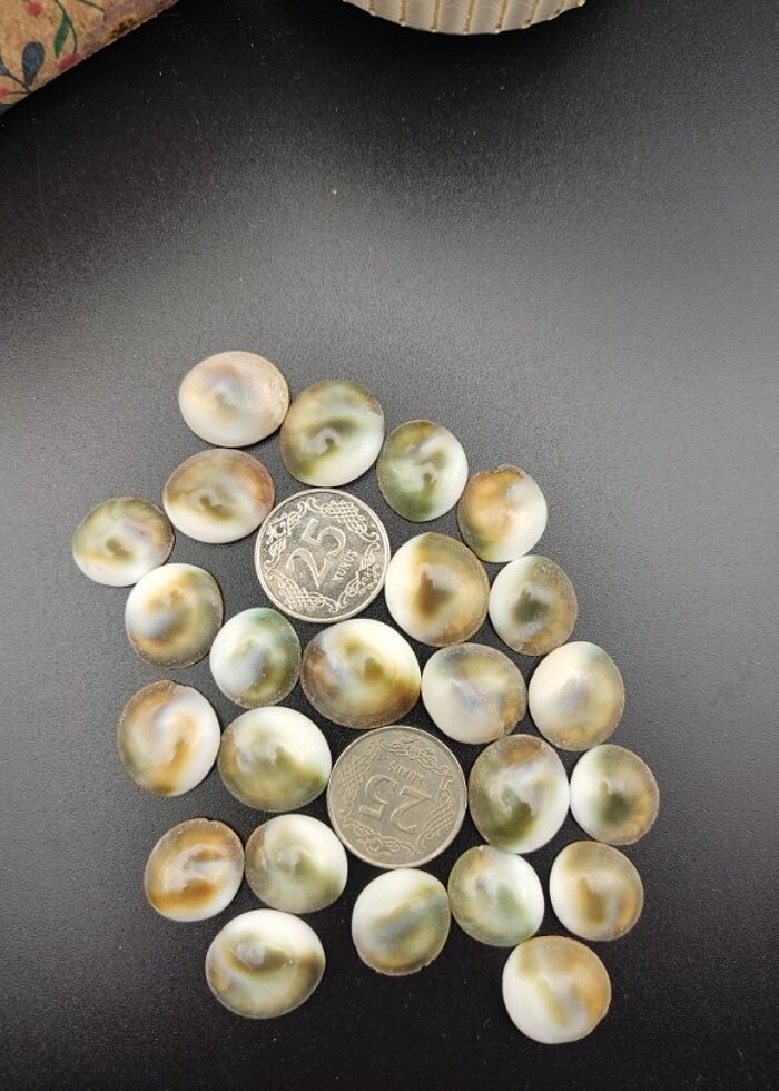 10 Adet Yılancık Taşı. - Görsel 3