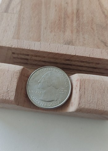 Vintage Erkek Rozet Bej Gri - Görsel 2