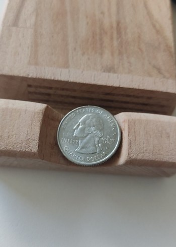 Vintage Erkek Rozeti Gri-Bej Tonlarda - Görsel 2