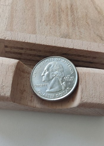 Gri Minimalist Erkek Rozeti - Görsel 3