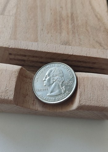 Gri Minimalist Erkek Rozeti - Görsel 2