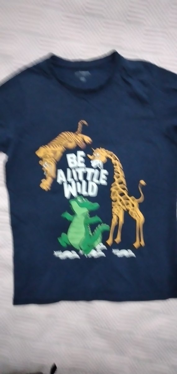 Mavi Çocuk i - Hayvan Desenli tişört - Görsel 2