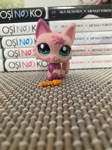 Lps kedi miniş