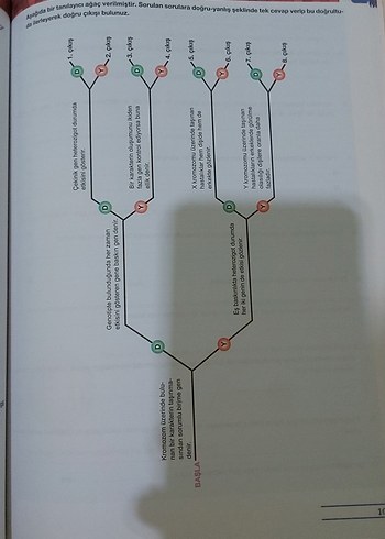 10. Sınıf Kimya ve Biyoloji Soru Bankası Seti - Görsel 6