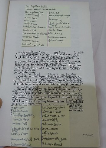 Amelia - Dominique Arly Roman - Görsel 4