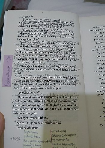 Amelia - Dominique Arly Roman - Görsel 5