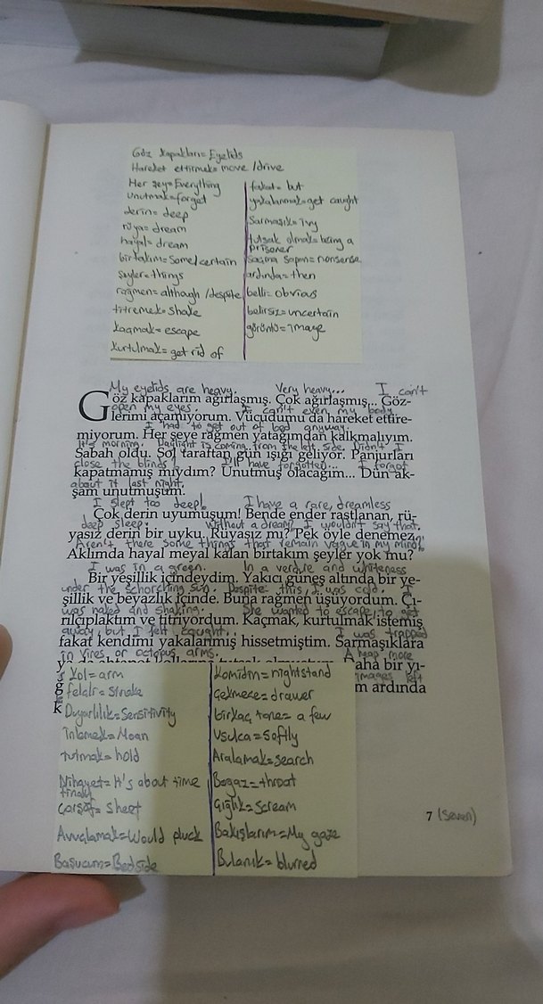 Amelia - Dominique Arly Roman - Görsel 4