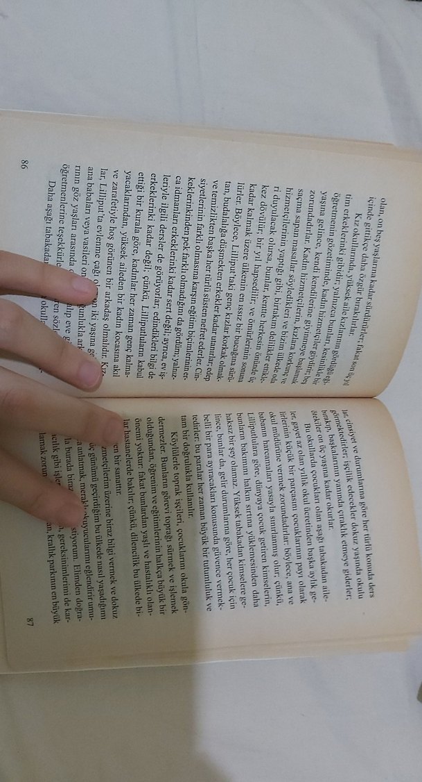 Gulliver'in Gezileri - Jonathan Swift - Görsel 2